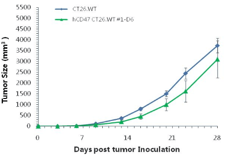 B Hcd Ct Wt Biocytogen