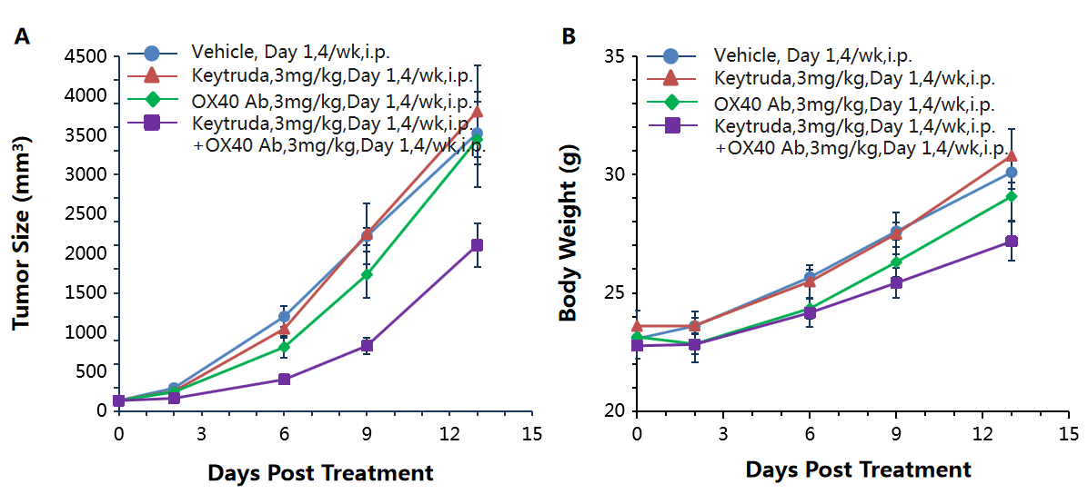 B-hPD-1/hOX40 Mice - Biocytogen