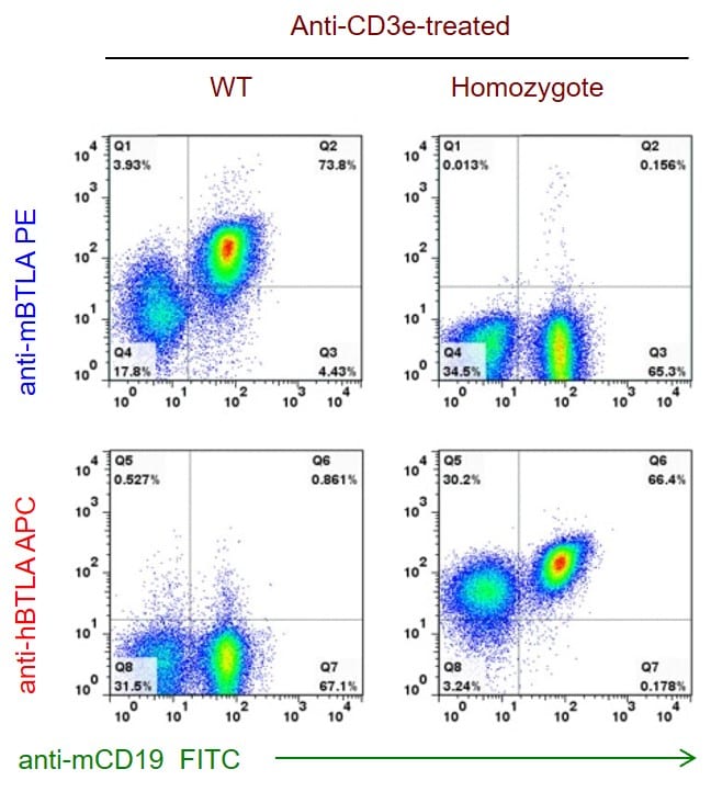 B-hBTLA Mice - Biocytogen