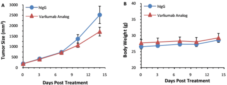 B-hCD27-mice-details-Human-CD27-mAb-efficacy-evaluation-MC38-cell-line