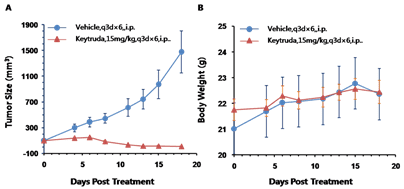 B-hPD-1 Mice - Biocytogen