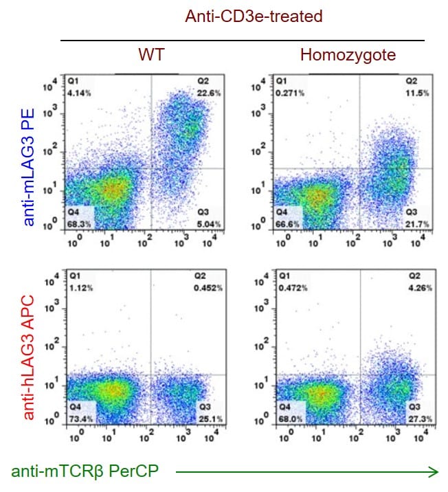 B-hPD-1/hLAG3 Mice - Biocytogen