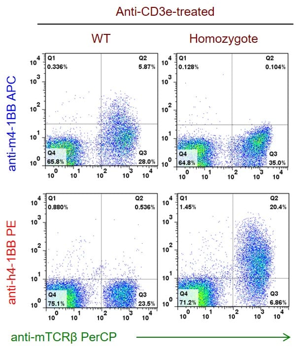 B-hPD-1/h4-1BB Mice - Biocytogen