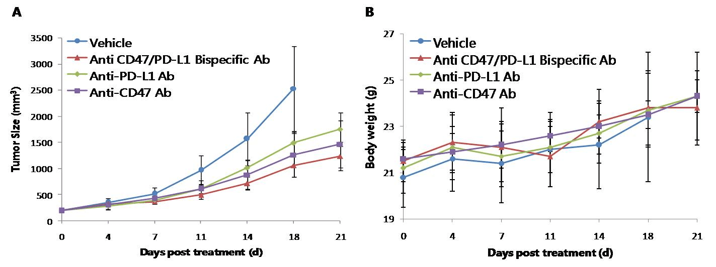 B-hPD-L1/hSIRPA/hCD47 Mice - Biocytogen