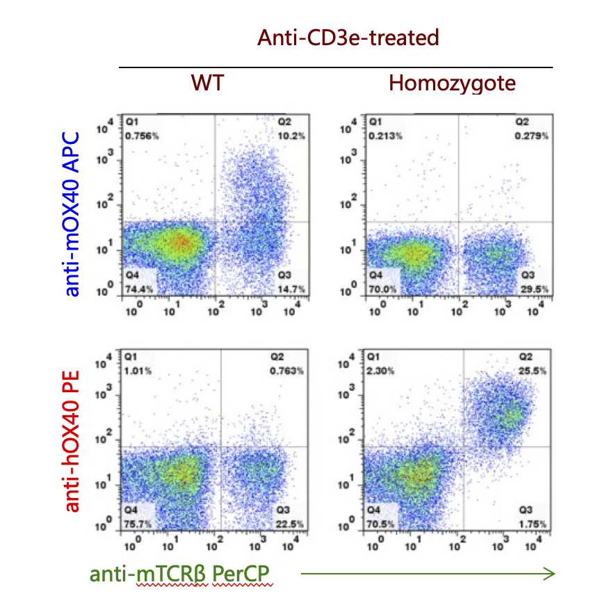 B-hPD-1/hOX40 Mice - Biocytogen