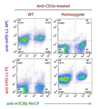 B-hPD-L1/h4-1BB Mice - Biocytogen