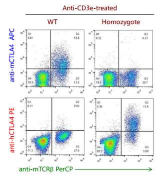 B-hctla4 H4-1bb Mice - Biocytogen