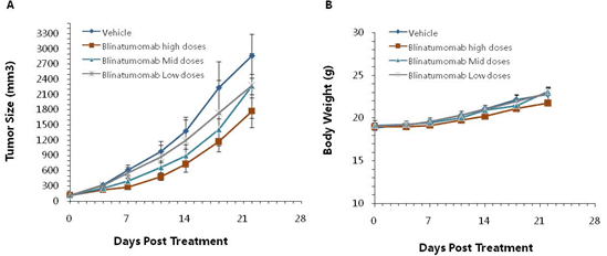 Bispecific-Antibody-Efficacy-Study
