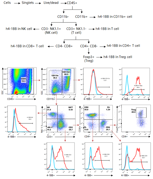 Flow Cytometry Panel