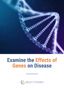 examine the effects of genes on disease