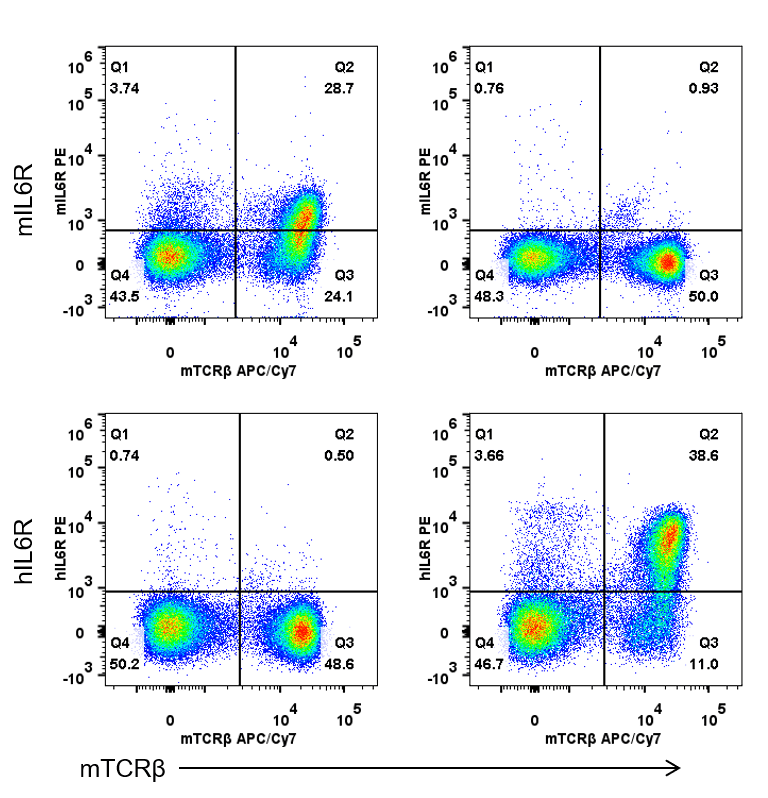 B-hil6 Hil6r Mice - Biocytogen