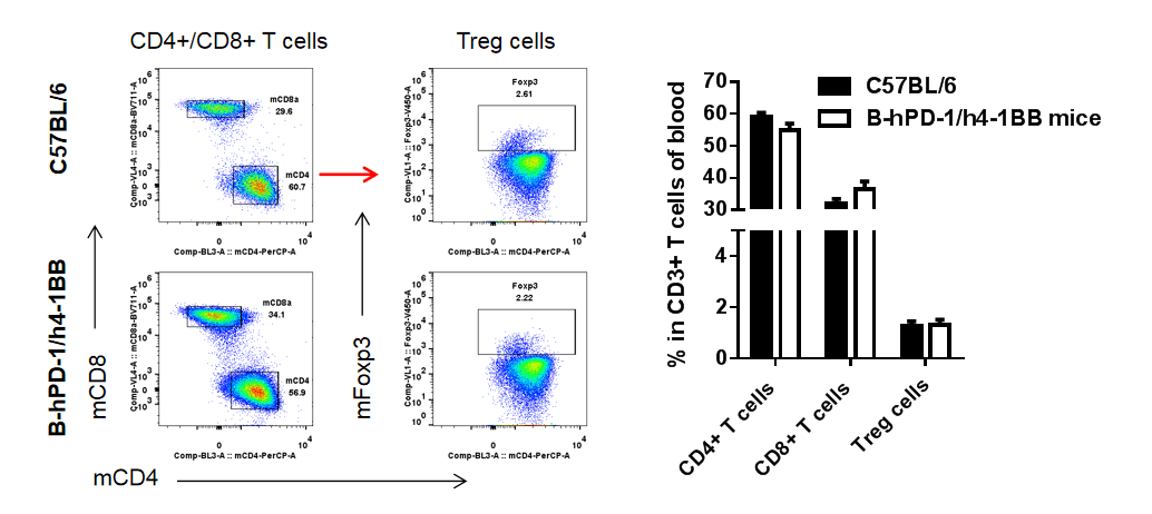 B-hPD-1/h4-1BB Mice - Biocytogen