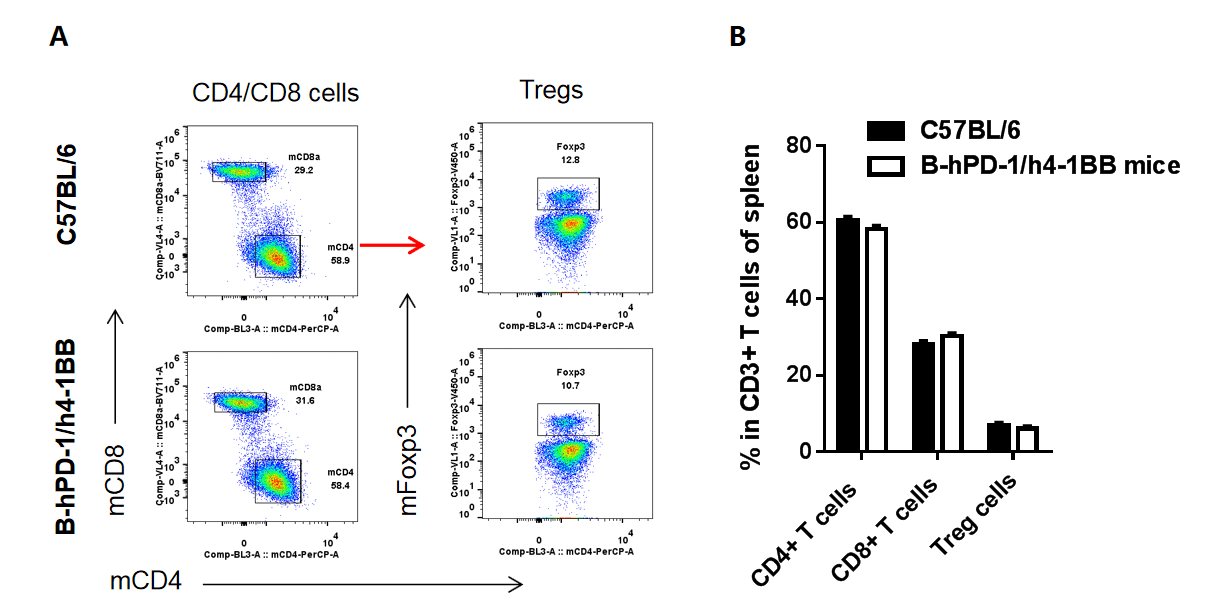 B-hPD-1/h4-1BB Mice - Biocytogen