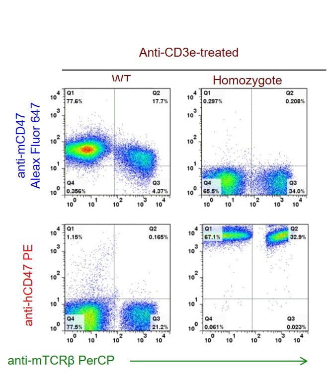 B-hCD47 Mice - Biocytogen