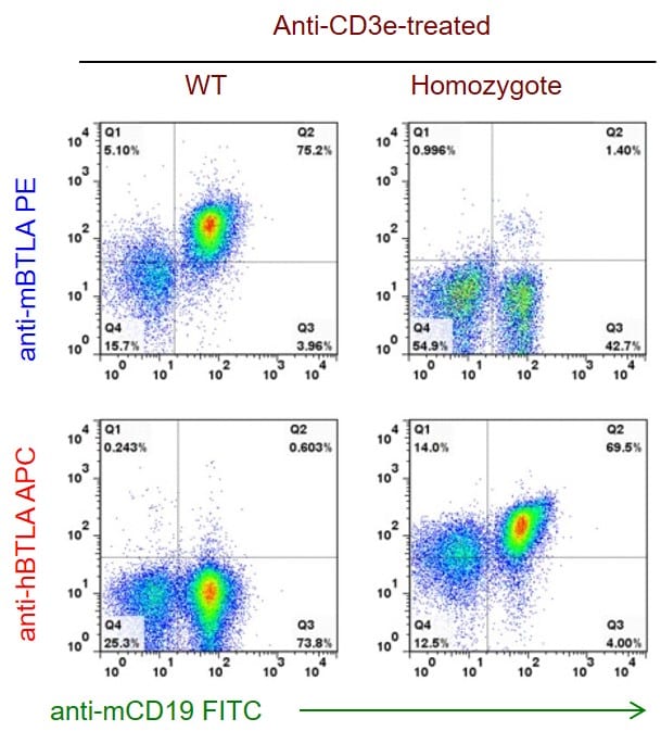 B-hPD-1/hBTLA Mice - Biocytogen