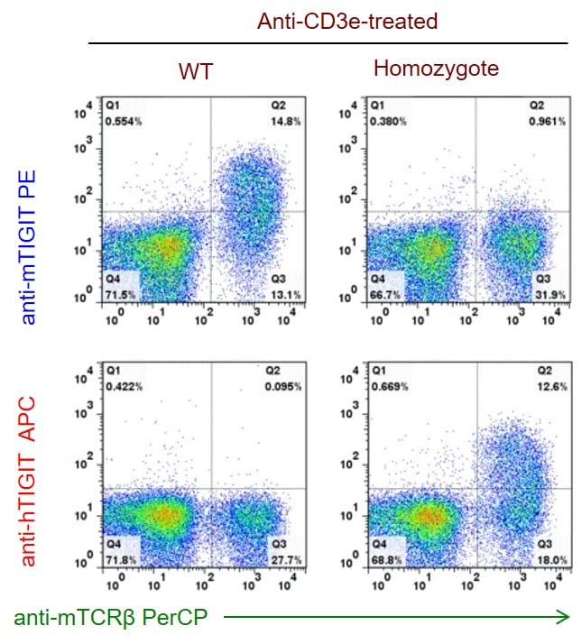 B-hPD-1/hTIGIT Mice - Biocytogen