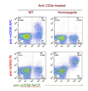 B-hPD-1/hOX40 mice - Biocytogen