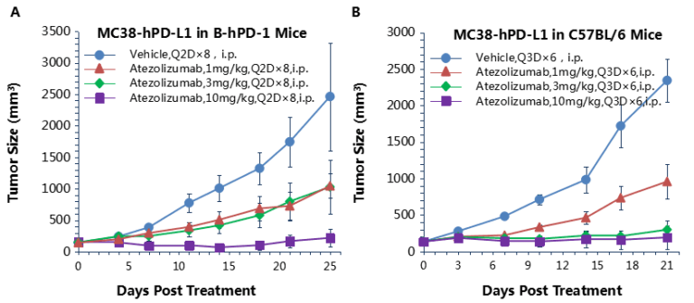 B-hPD-1 Mice - Biocytogen