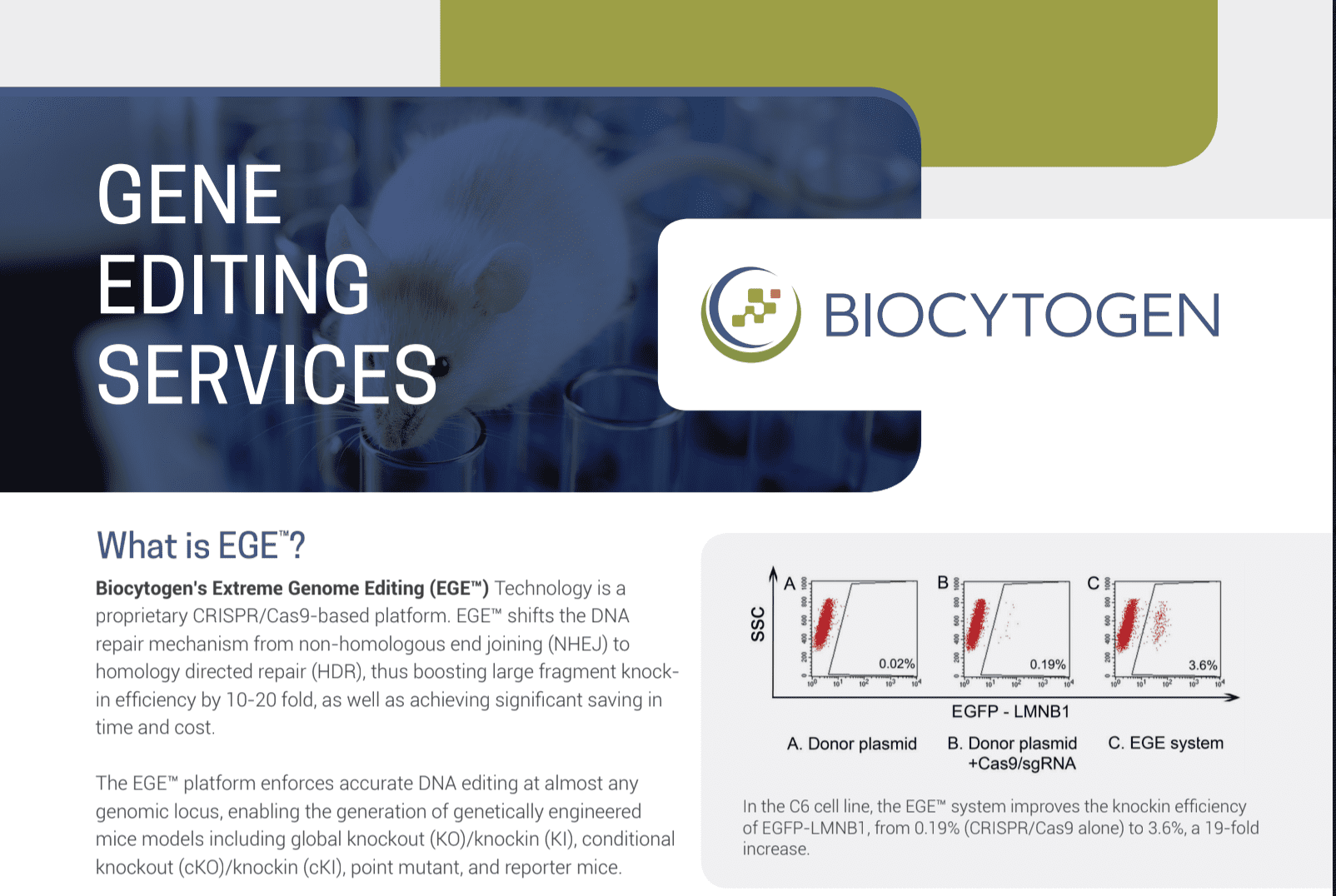 Gene Editing Service Brochure - Biocytogen