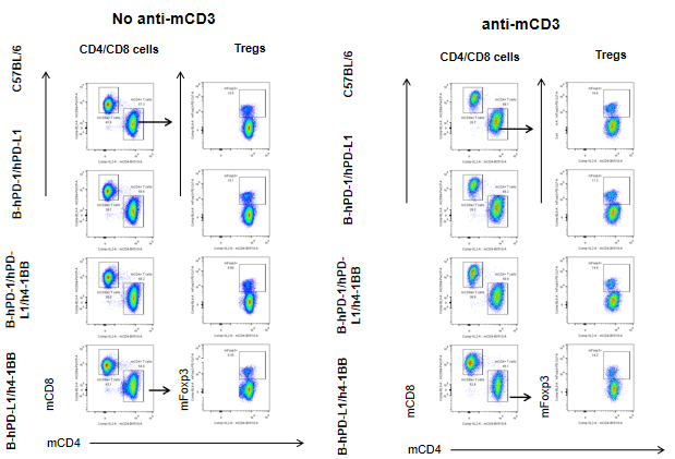 B-hPD-1/hPD-L1/h4-1BB Mice - Biocytogen