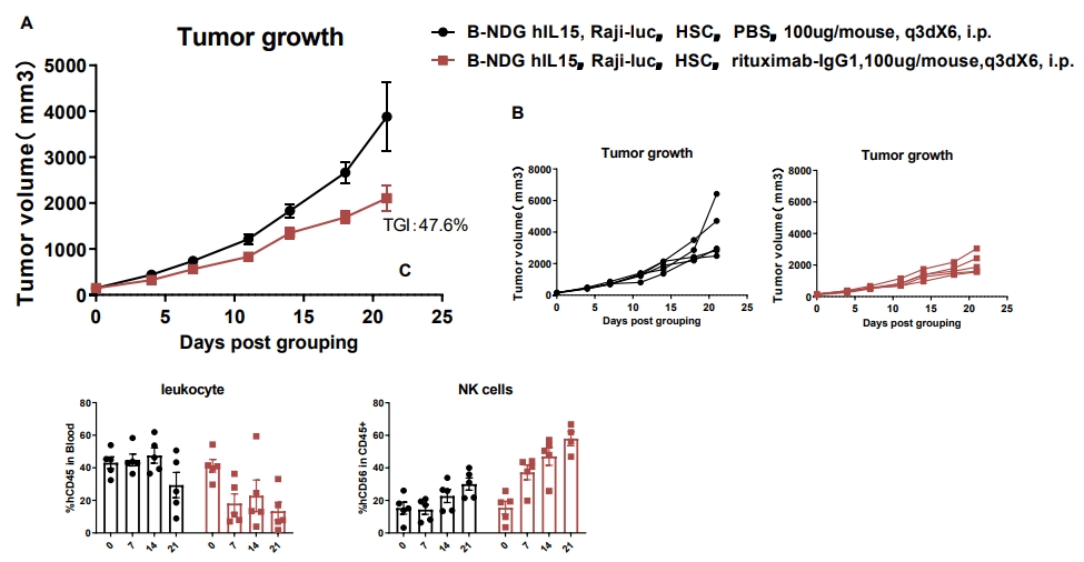 B-NDG HIL15 Mice - Biocytogen