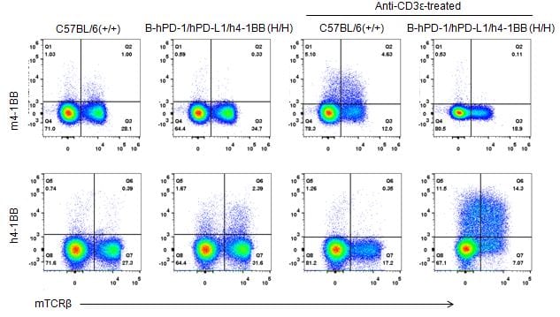 B-hPD-1/hPD-L1/h4-1BB Mice - Biocytogen