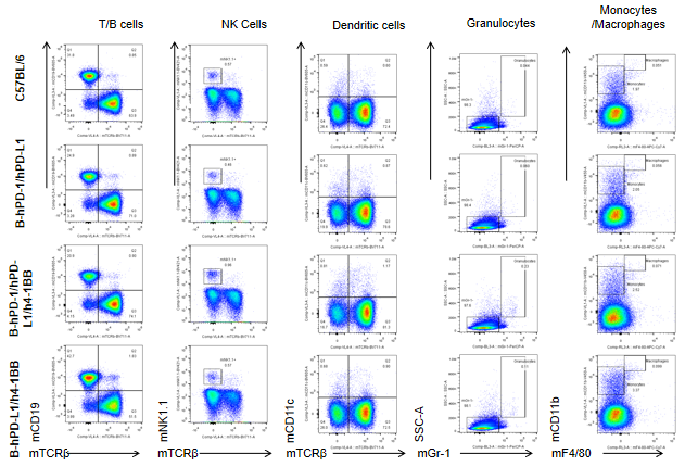 B-hPD-1/hPD-L1/h4-1BB Mice - Biocytogen