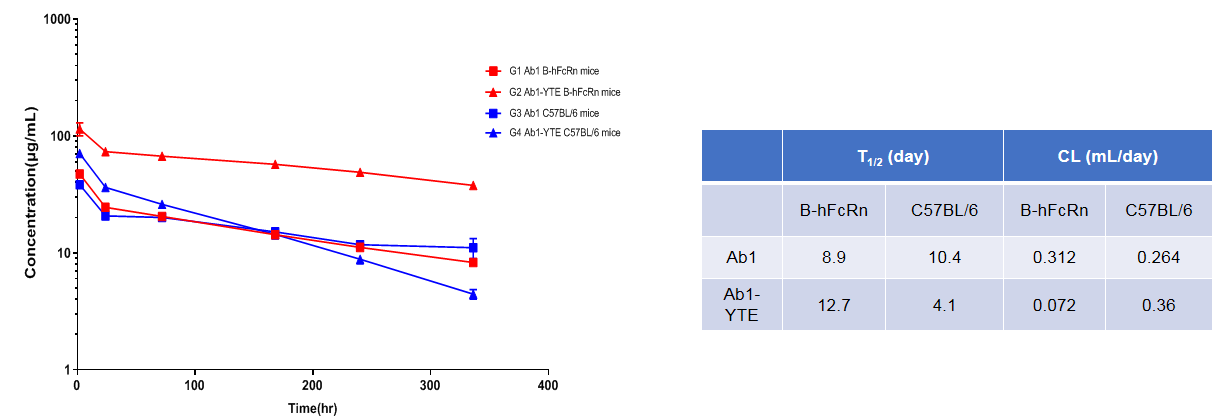 B-hFcRn Mice - Biocytogen