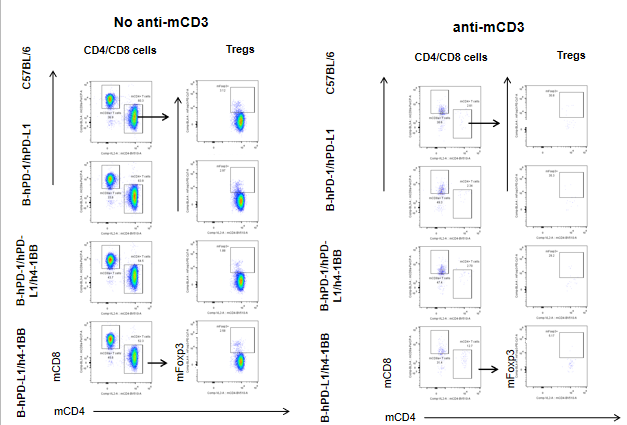 B-hPD-1/hPD-L1/h4-1BB Mice - Biocytogen