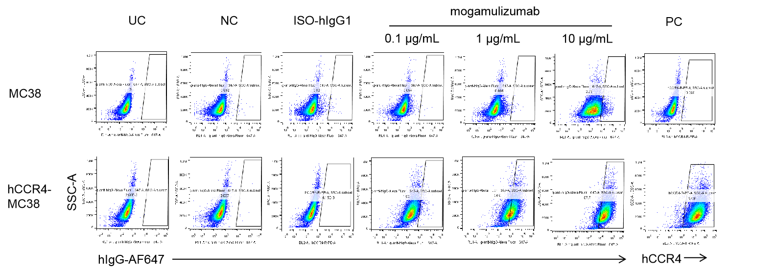 B-hCCR4 Mice - Biocytogen