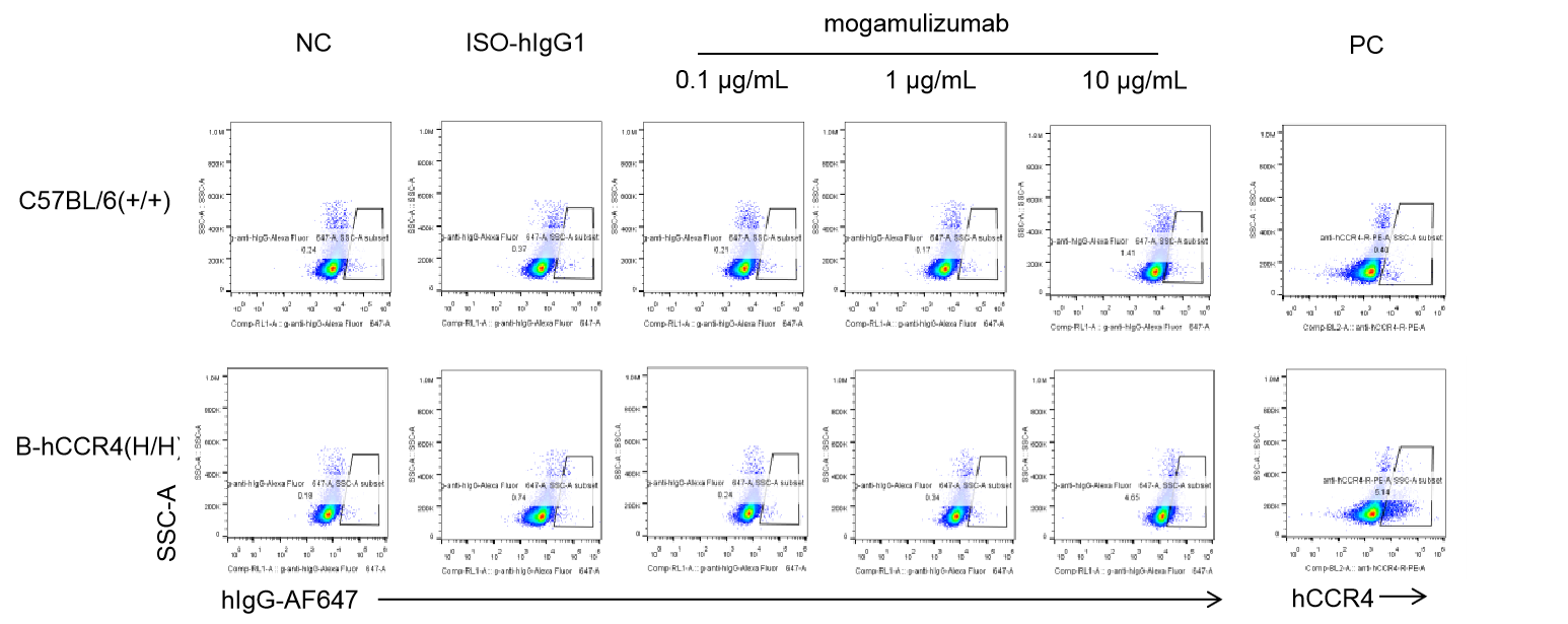 B-hCCR4 Mice - Biocytogen