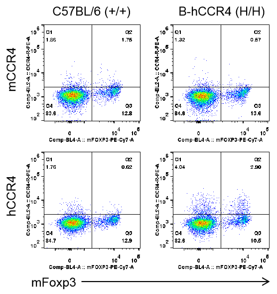 B-hCCR4 Mice - Biocytogen