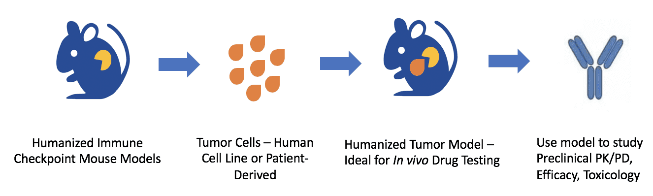 Syngeneic Mouse Models And Humanized Immune-Checkpoint Mice - Biocytogen