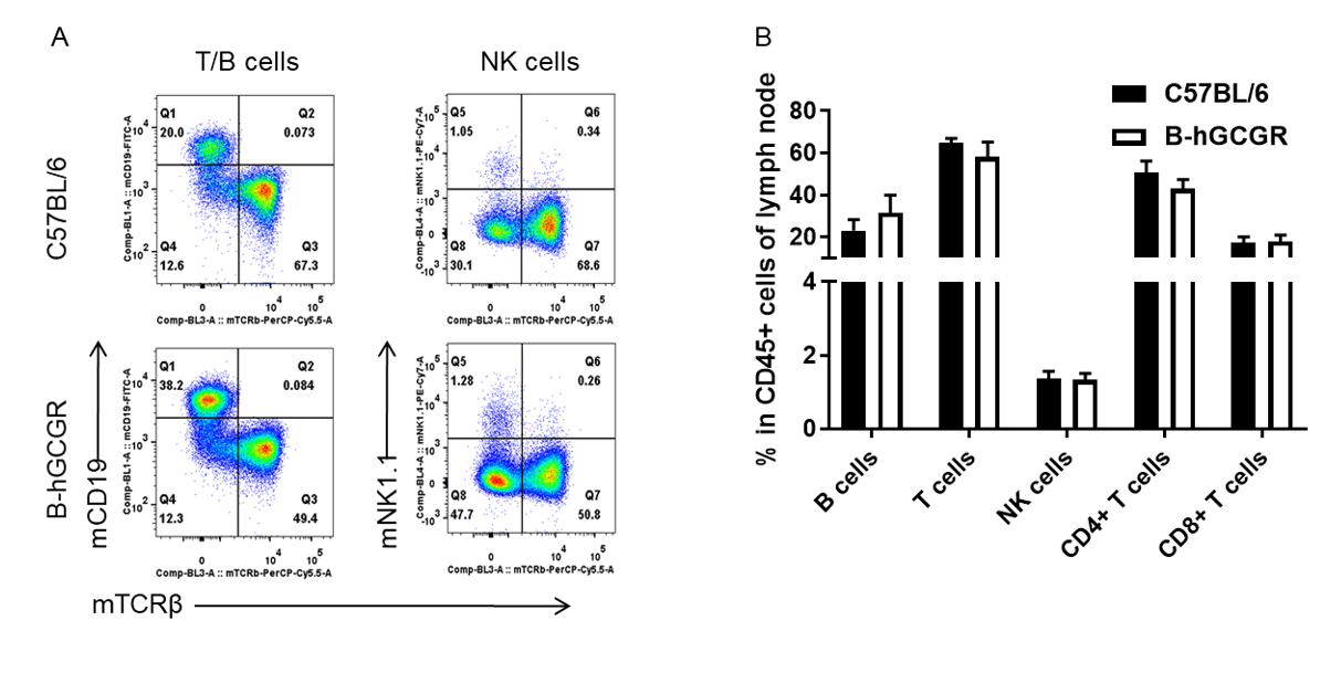 B-hLAG3 Mice Plus - Biocytogen