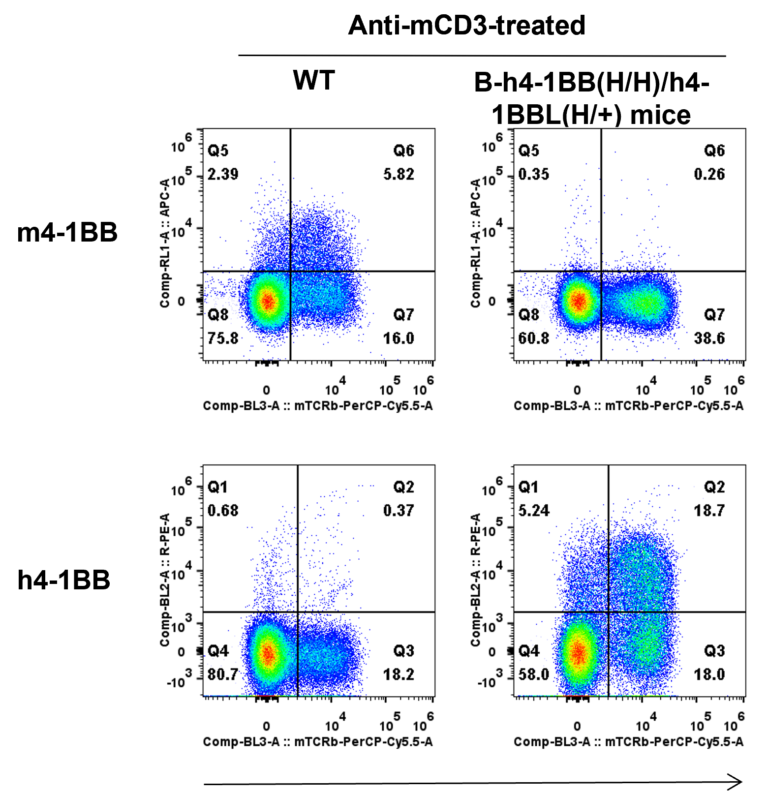 B-h4-1BB/h4-1BBL Mice - Biocytogen