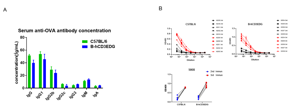 B-hCD3EDG Mice - Biocytogen