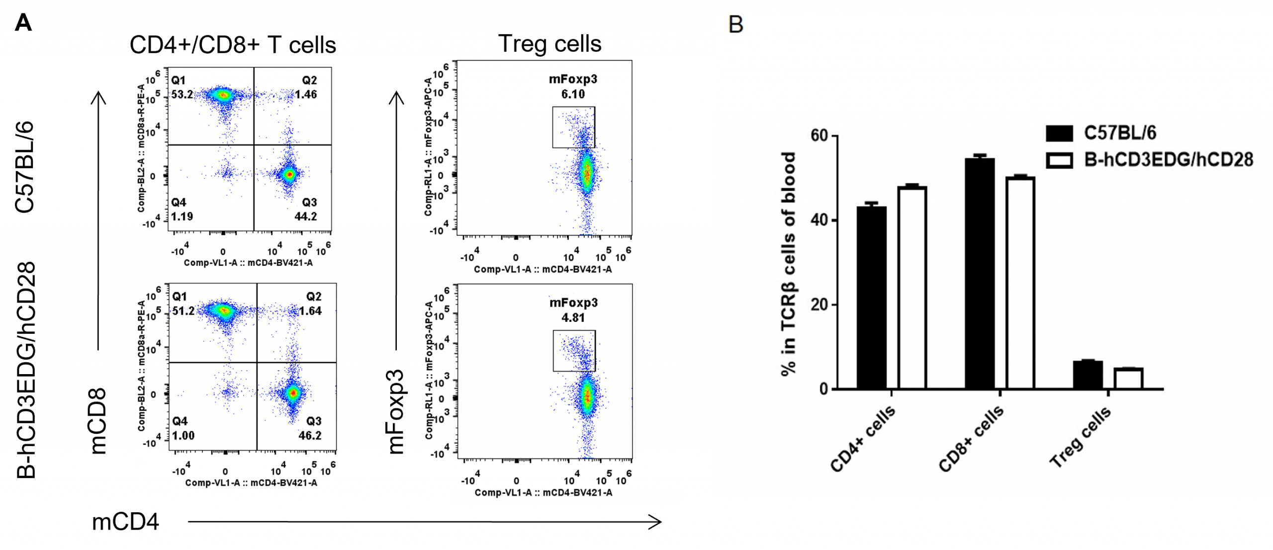 B-hCD3EDG/hCD28 Mice - Biocytogen