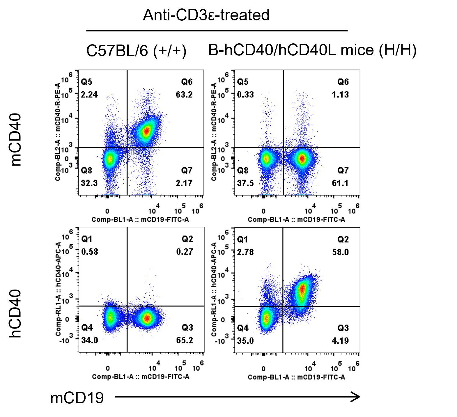 B-hCD40/hCD40L Mice - Biocytogen