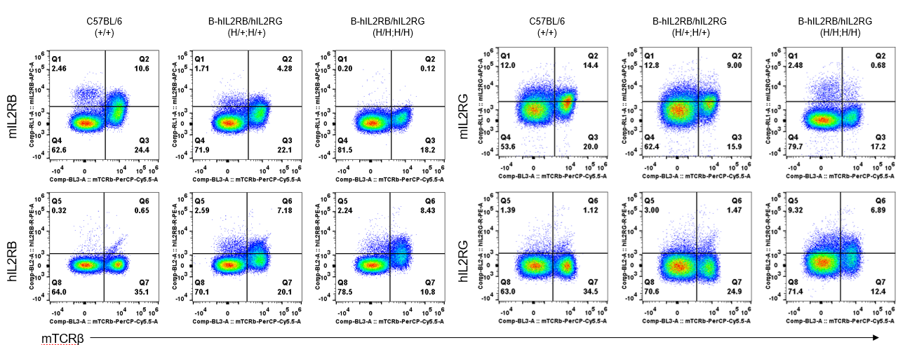 B-hIL2RB/hIL2RG Mice - Biocytogen