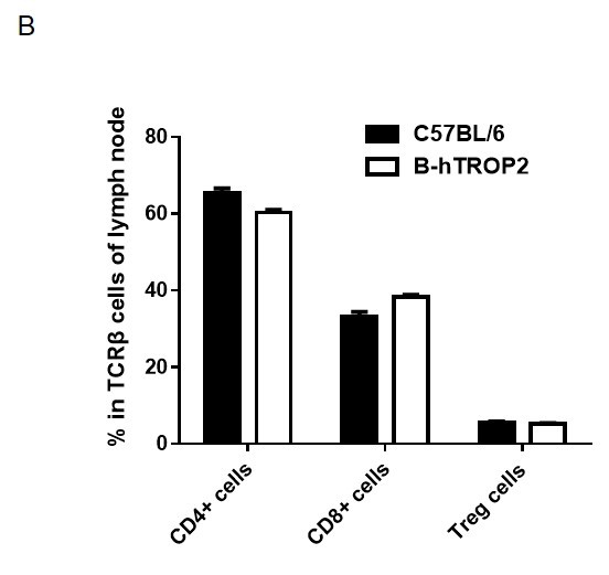 B-hTROP2 Mice - Biocytogen