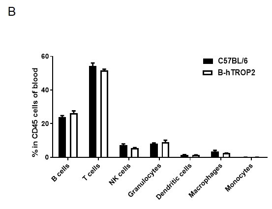 B-hTROP2 Mice - Biocytogen