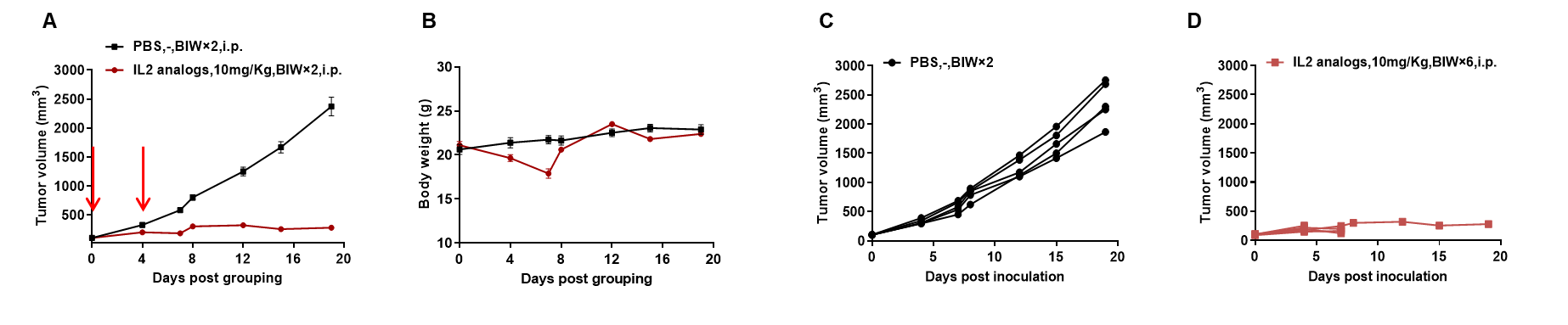 B-hIL2RB/hIL2RG Mice - Biocytogen