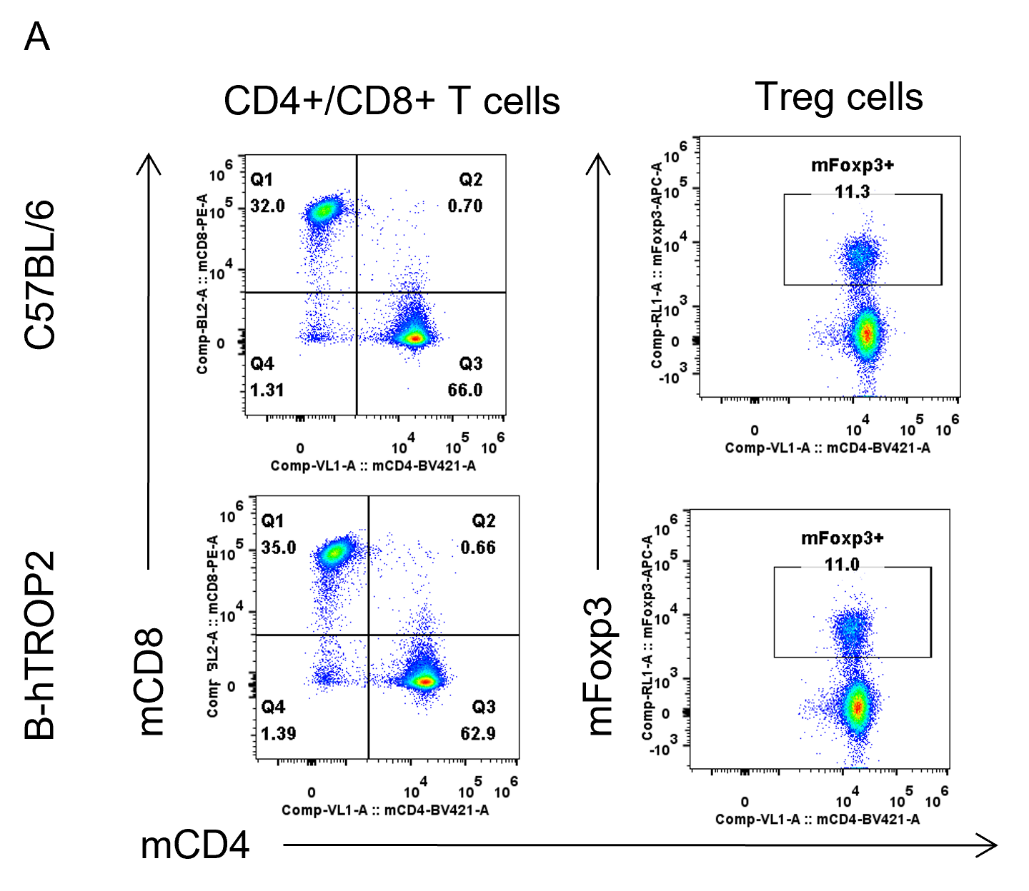 B-hTROP2 Mice - Biocytogen