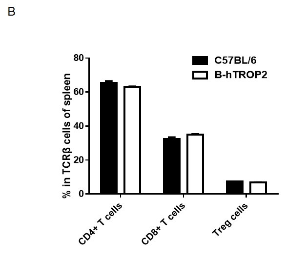 B-hTROP2 Mice - Biocytogen