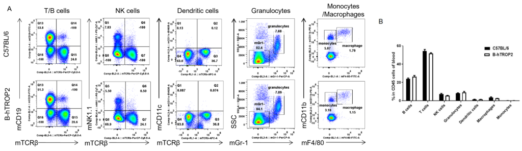 B-hTROP2 Mice - Biocytogen