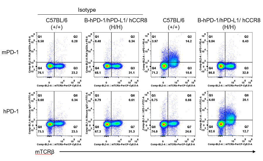 B-hPD-1/hPD-L1/hCCR8 Mice - Biocytogen