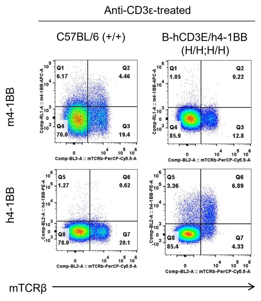 B-hCD3E/h4-1BB Mice - Biocytogen