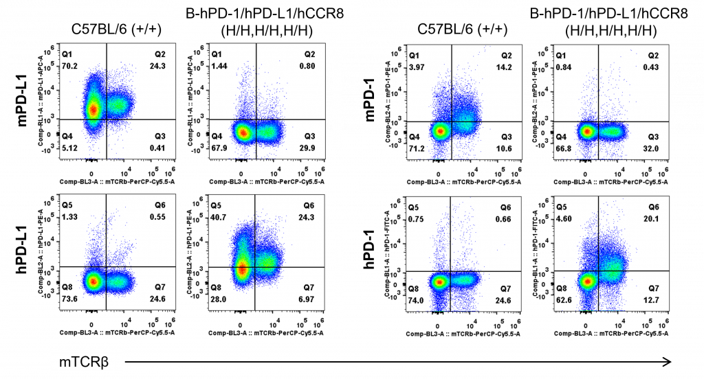 B-hPD-1/hPD-L1/hCCR8 Mice - Biocytogen