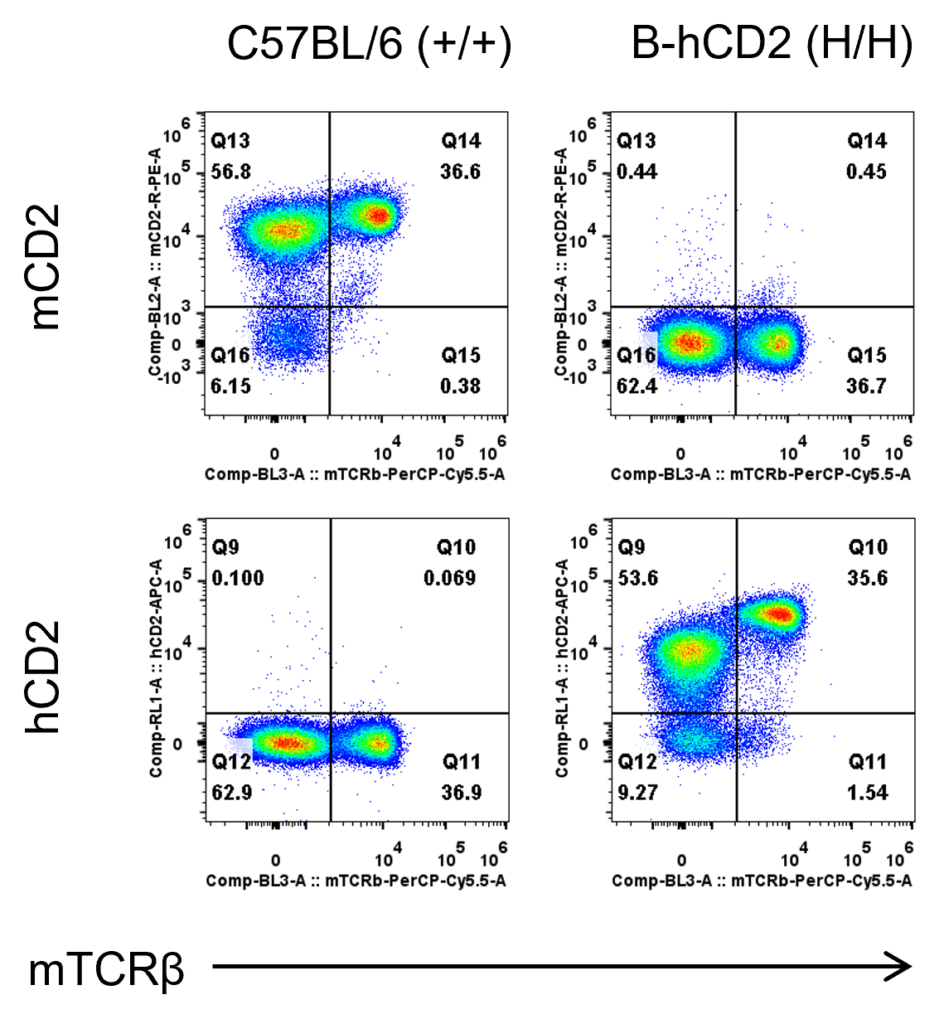 B-hCD2 Mice - Biocytogen