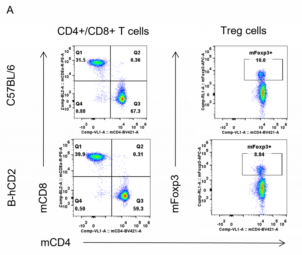 B-hCD2 Mice - Biocytogen